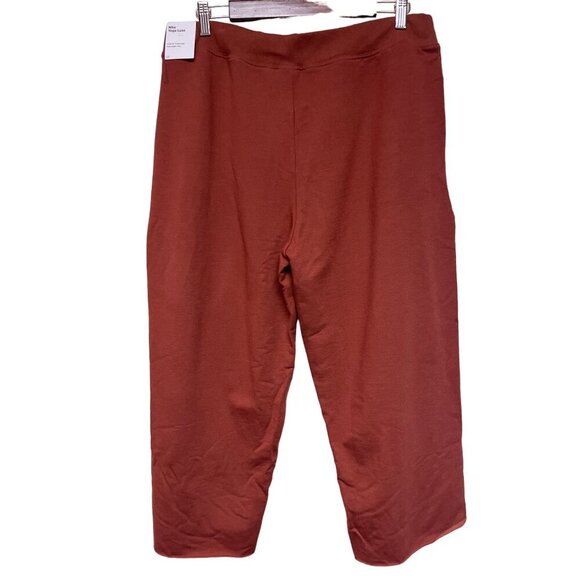 Nike Yoga Luxe Women's Pants Fleece Cropped Rust Brown Large NEW DA0776-670 - Picture 3 of 11